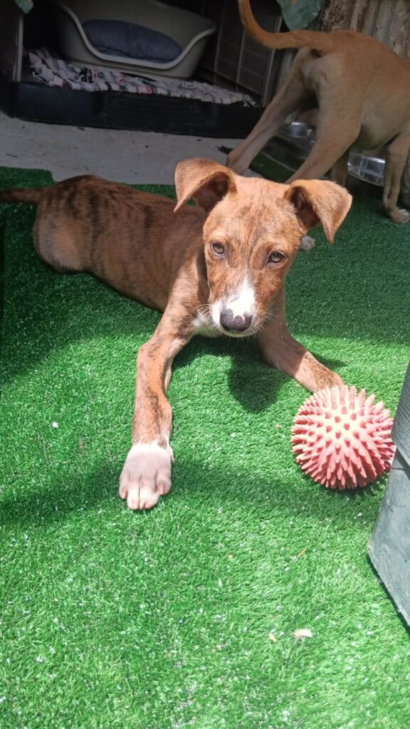 whatsapp image 2026 07 25 at 09.40.03
